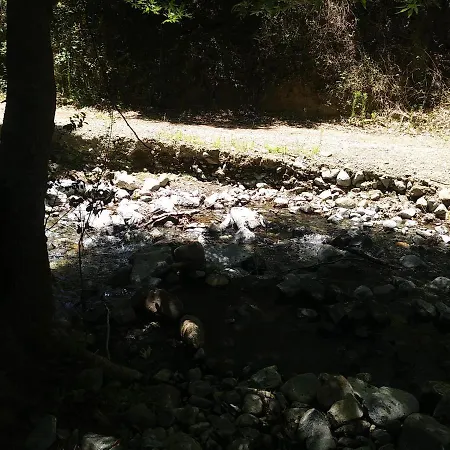 בית הארחה The Spidaki 3*