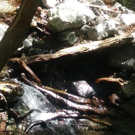 בית הארחה The Spidaki 3*