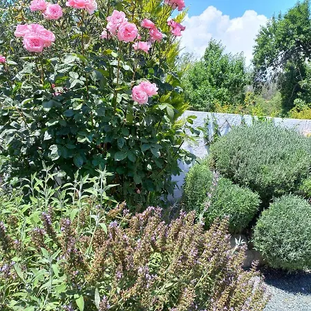 בית הארחה The Spidaki Lania