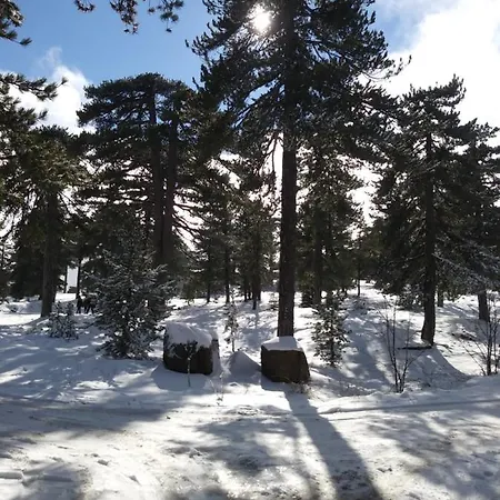 The Spidaki בית הארחה