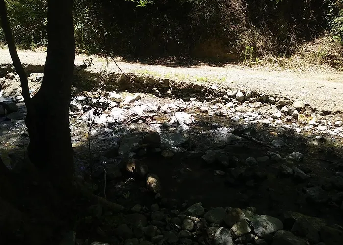 Pensionat The Spidaki 3*