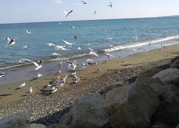 Pensionat The Spidaki 3*