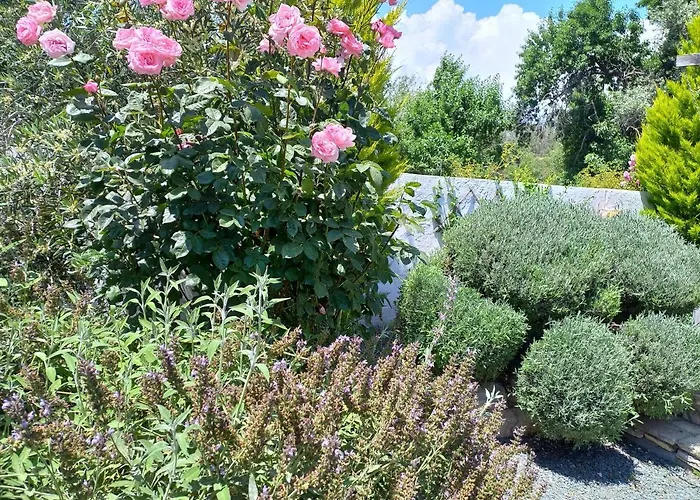 Pensionat The Spidaki Lania