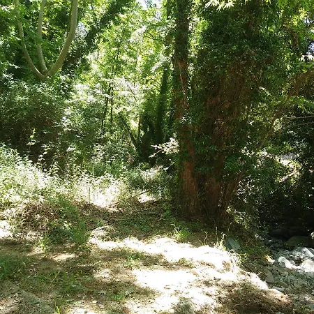 Pensjonat The Spidaki 3*