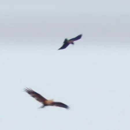 Pensjonat The Spidaki Lania