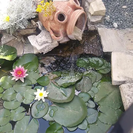 Pensjonat The Spidaki Lania