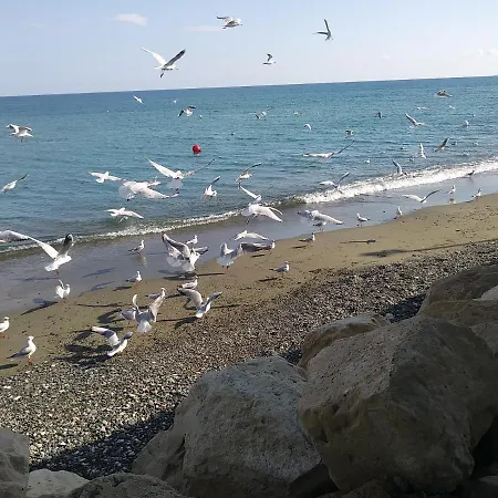 Pensjonat The Spidaki *