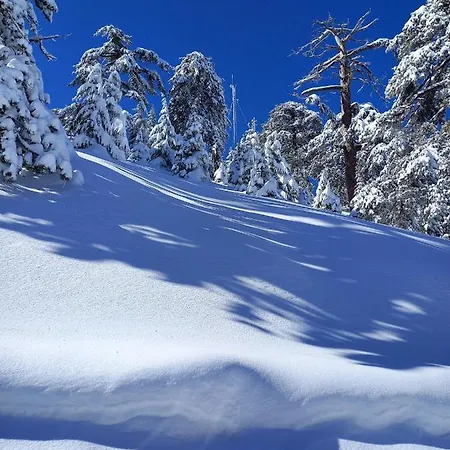 Pensjonat The Spidaki Lania