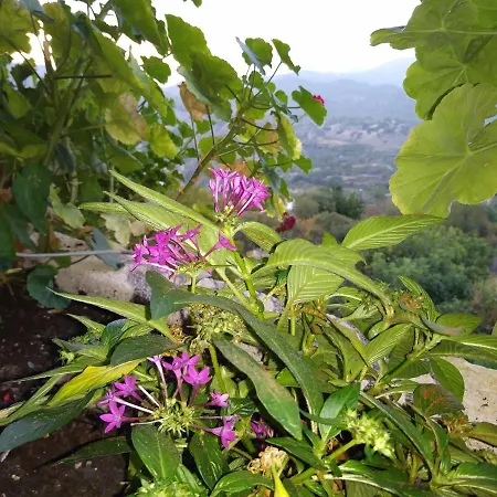 The Spidaki Gæstehus Lania