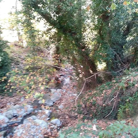 Pensjonat The Spidaki 3*