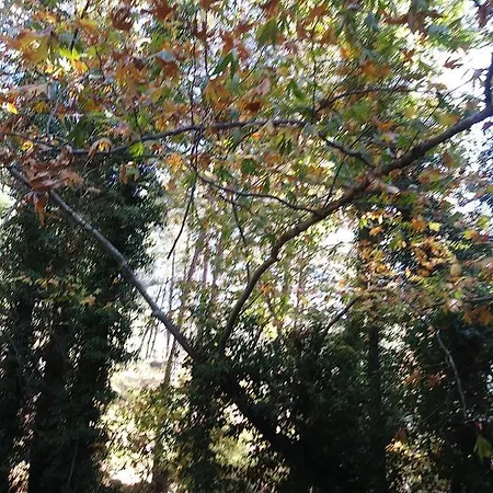 The Spidaki Lania