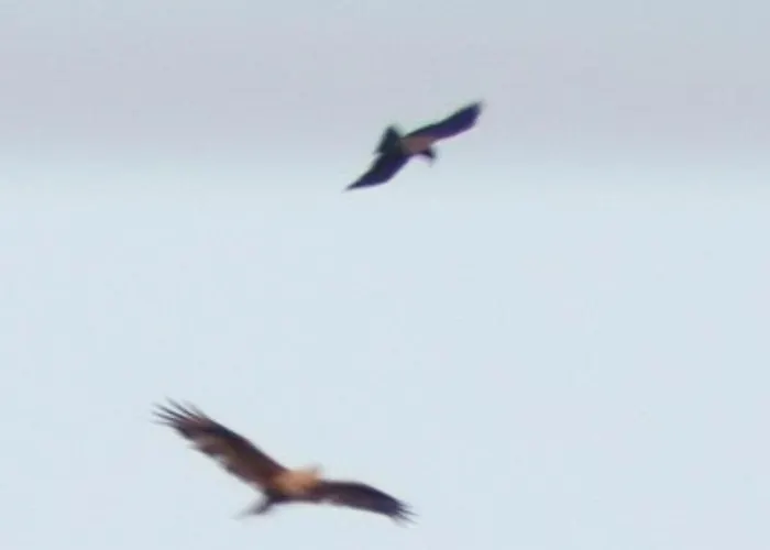 ゲストハウス The Spidaki Lania