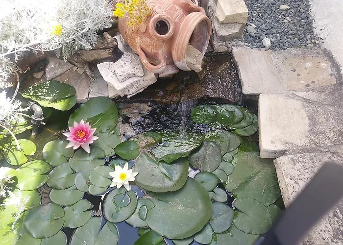 ゲストハウス The Spidaki Lania