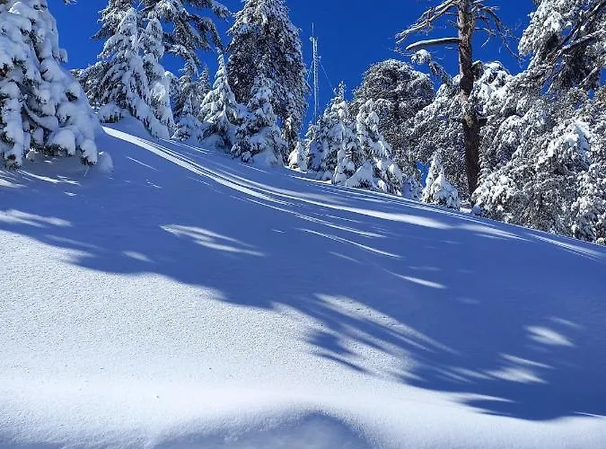 ゲストハウス The Spidaki Lania