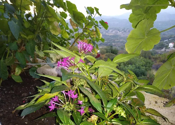 The Spidaki ゲストハウス Lania