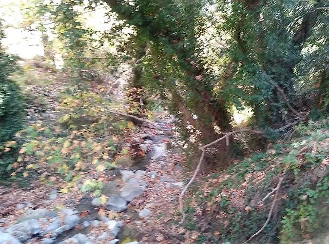 ゲストハウス The Spidaki 3*